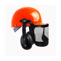 CAPACETE SEGURANÇA ACOPLADO PROTETOR AUDITIVO E TELA 6- C0P 006